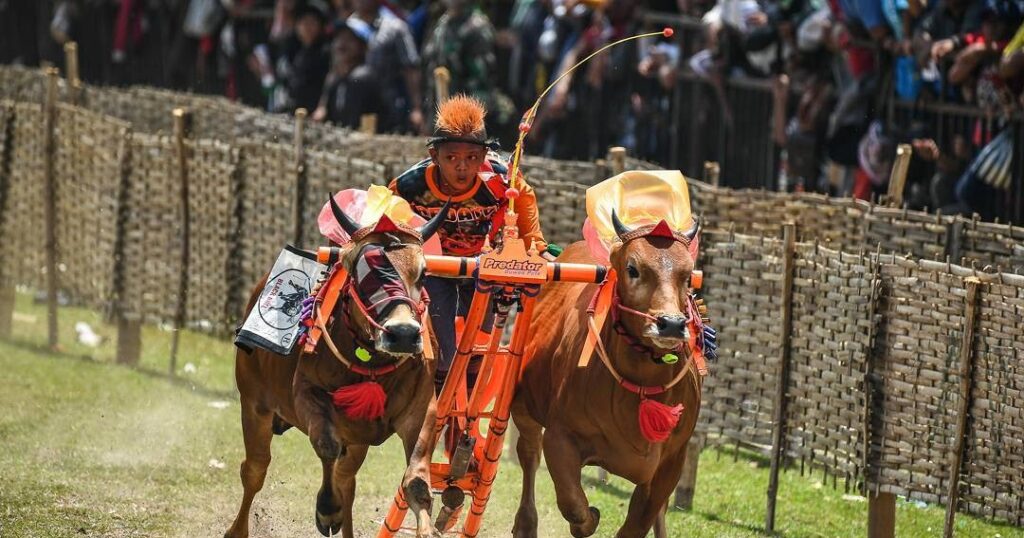 Suku Dayak: Asal, Ciri Khas, Tradisi Dan Ragam Budaya